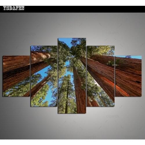 HD Printed Painting Canvas Printing Spruce painting Room decor print poster picture canvas Framed Art HG-1897