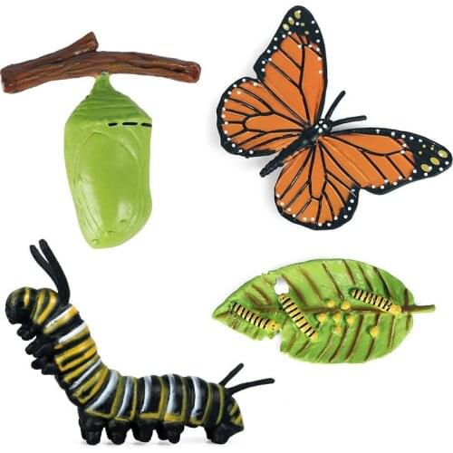 Animals Growth Cycle Frog Ant Butterfly Sea Turtle Simulation Model Action Figures Teaching Material Kids Gift