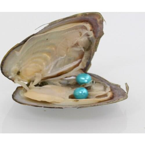 Freshwater Vacuum-pack Oyster 6-7mm Twins Rice Wish Pearls,AAA Quality Baby Blue Oval Pearl Oysters Birthday Wedding Gift FP365