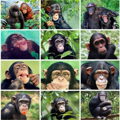 HUACAN Diamond Painting Full Square/round Monkey Mosaic Animal Living Room Wall Decoration Diamond Art