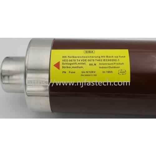 High voltage fusible 3002013 car fuse fuse price high voltage power fuse fuse