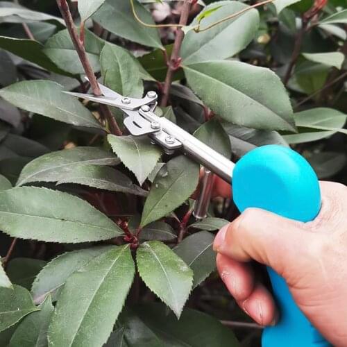 Portable Pointed Fruit Picking Scissors Picking Fruits Branches Gardening Pruning Shears Flower Cultivating Pruner Garden Tool