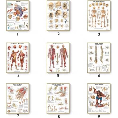 Anatomy Education Science Medicine Poster Print Muscles System Canvas Painting Human Body Map Canvas Wall Pictures Office Decor
