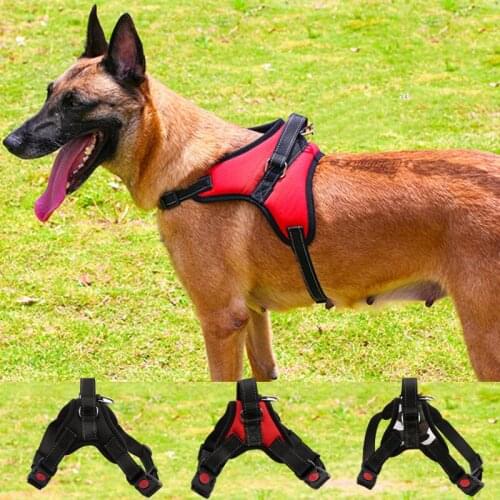 6 Pieces/Lot) 3 Colors Pet Harness Nylon Safety Buckle Small Medium Pet Dog Puppy Harness