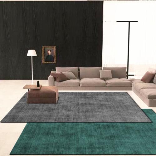 Pure colour Carpet living room Washable Bedroom carpet Entrance door mat Lounge Rug area rug large Home decoration Floor mat