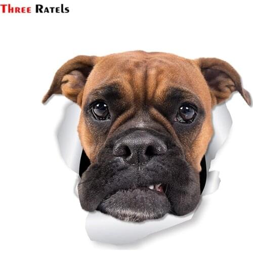 Three Ratels FTC-1065 Grumpy Boxer Dog 3D Sticker Decal For Car Laptop Luggage Refrigerator Door Decor Waterproof Car Sticker