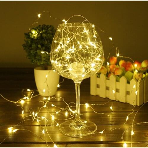 LAIDEYI LED String Lights With Transparent Wire