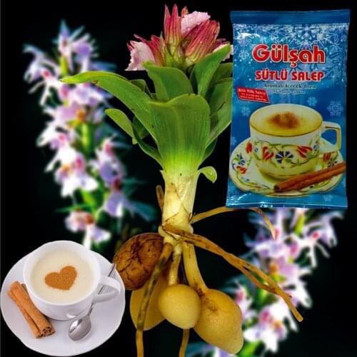 Sahlep powder Turkish tea free shipping delicious 250 gr - 1.500 gr tea powder with water healty made in Turkey g-1090