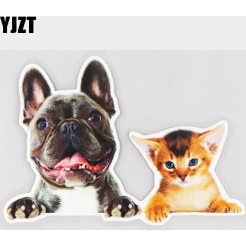 YJZT 16.7×11.4CM Dog And Cat Lying On The Window Funny Windshield Decoration Car Sticker Accessories 21A-0217