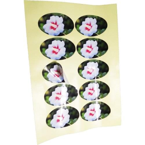 Sheet stiuckers Custom/paper sticker printing/glossy film lmainated/shape custom