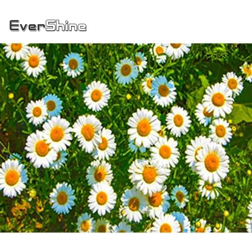 EverShine DIY 5D Diamond Painting Daisy Cross Stitch Diamond Embroidery Diamond Mosaic Flowers Picture Rhinestones Home Decor