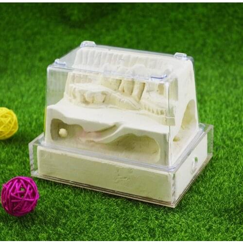 Ant imitation ecological nest Ant breeding and breeding built-in stone cream nest Loess Plateau
