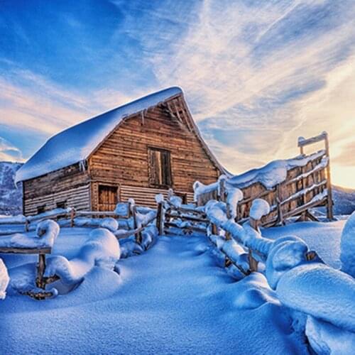 14/16/18/27/28 Gold Collection Counted Cross Stitch Kit Bouquet of Ranunculuses Flower Flowers Peony Peonies rto