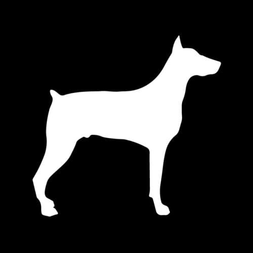 I Love My Doberman Decal Dog Car Truck Window Sticker Doberman Full