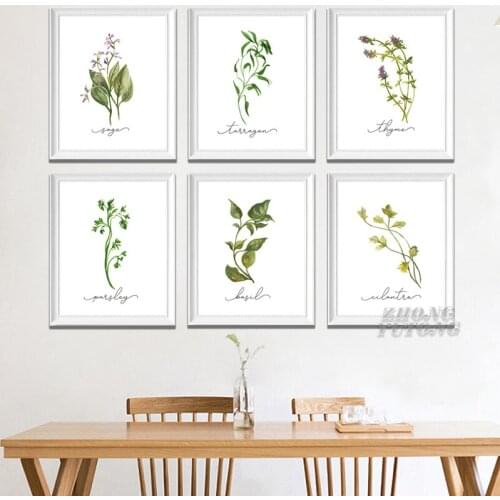 Herb Collection Wall Art Canvas Posters Painting Oregano Sage Rosemary Basil Thyme Watercolor Wall Picture Print Kitchen Decor