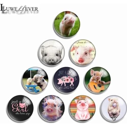 10mm 12mm 14mm 16mm 20mm 25mm 482 Cute Pig Mix Round Glass Cabochon Jewelry Finding 18mm Snap Button Charm Bracelet