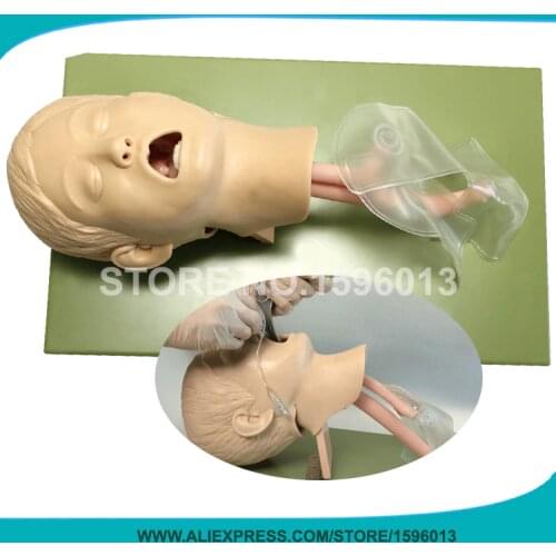 Child Intubation Model, Tracheal Intubation Trainer