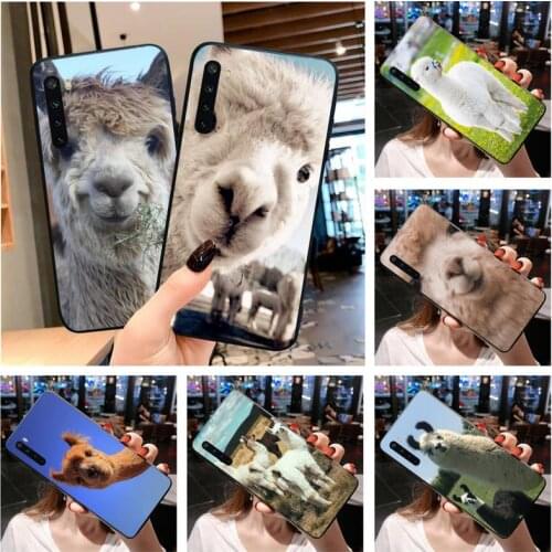 Lama Llama Alpacas Animal Phone Case For OPPO Realme 6 Pro Realme C3 5 Pro C2 RENO2-Z A11X