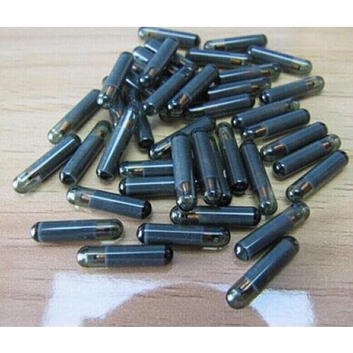 Blank OEM ID48 Glass Transponder Chip For VW Tango Pro Copy ID48 Chip