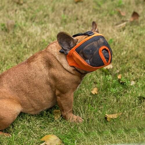 TAONMEISU Animal Decorations