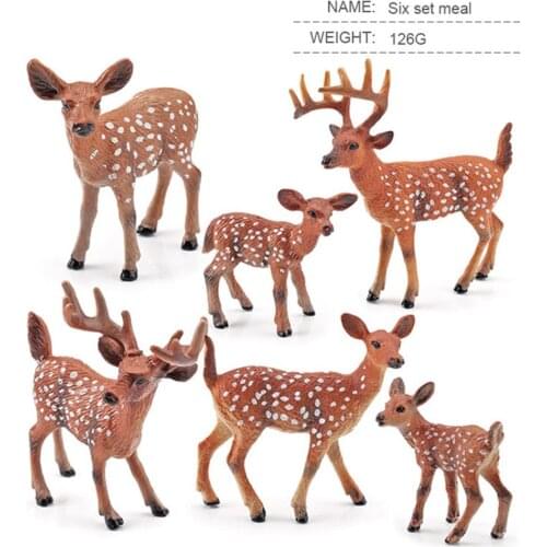 HiMISS Color And Shape Educational Toys