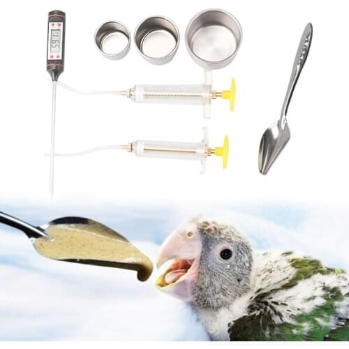 1 Set Manual Parrots Bird Feeding Syringe Injector with Stainless Steel Metal Feeding Spoon Cups Thermometer