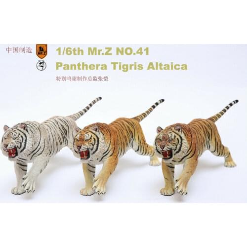 Mr.Z 1/6 Siberian Tiger Figure Animal Panthera Tigris Altaica Model Resin Toy Desktop Ornaments Decoration Dolls Kids Gifts