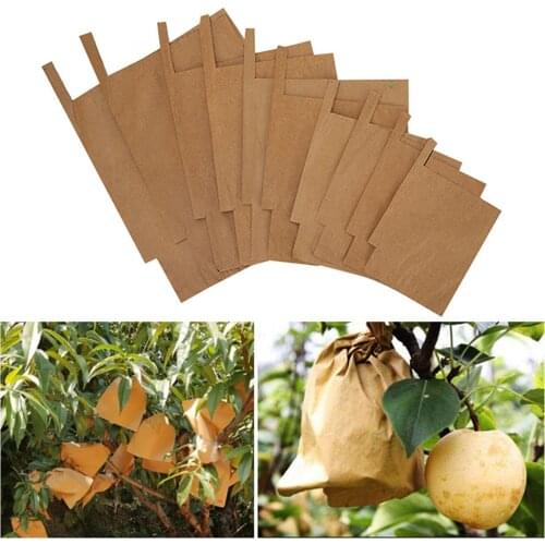 100Pcs Grape Protection Bags For Fruit Vegetable Grapes Pulp Paper Bag Against Insect Pouch Waterproof Pest Control -Bird Garden