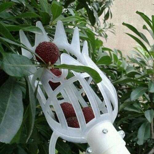 1pc High-altitude Fruit Picker Bayberry Collection Picker Bayberry Hand Picking Plum Jujube Apricot And Other Fruits Garden Tool