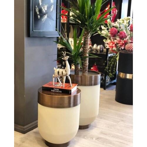 Coffee Tables and Flower Pot Together Living Room Furniture Modern Design Home Decoration 2 Color Options Oval