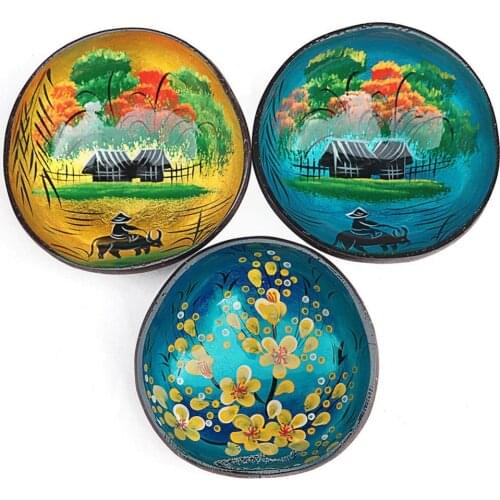 Natural Coconut Shell Eco-friendly Soup Salad Noodles Rice Fruit Bowl Handicraft