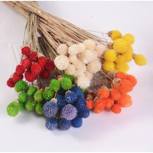 15pcs/lot Colorful Natural Dried Flower Bouquet Strawberries DIY Handmade Handicraft Artificial Flower Festival Home Decor Props