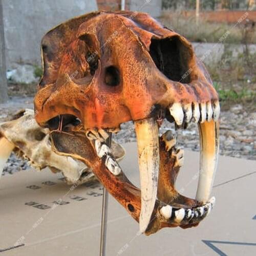 High-quality 1:1 simulation of the American saber-toothed tiger skull skeleton model craft model haunted house bar decorations
