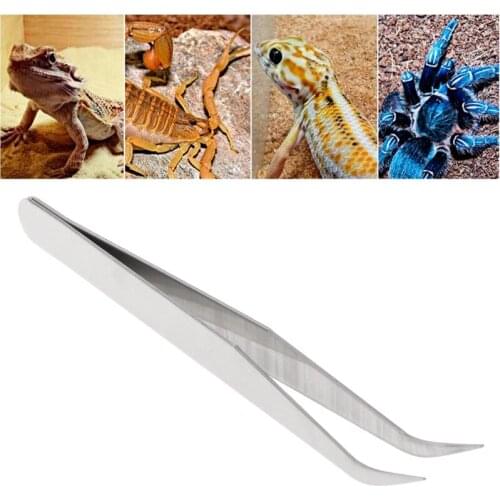 Stainless Steel Pet Clip Cleaning Tweezers Pet Ear Grooming