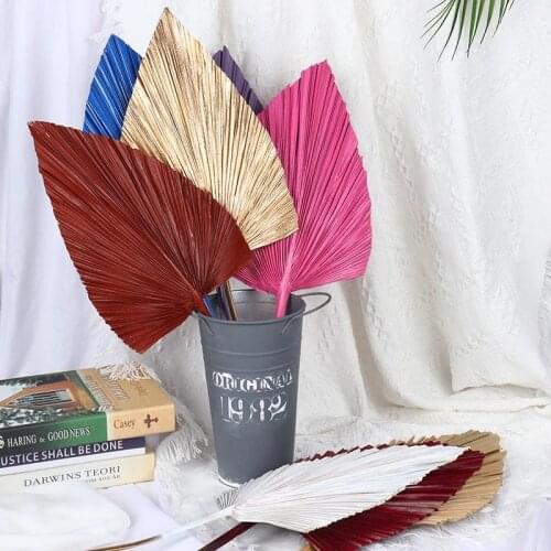 Palm Fan Leaf Colorful Dried Flower Palm Leaf Window Reception Party Art Wall Hanging Decoration Wedding Home Arch Arrangement