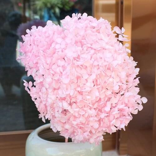 Kerst Decoratie 15-20CM Head Preserved Fresh Hydrangea Eternal Dried Flowers Real Nature Plants Home Decor Natale Decorazioni