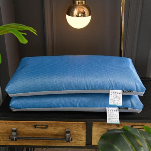 30*60cm Luxury Ice Silk Long-Staple Cotton Double-Piece Full Buckwheat Pillow for Sleep in Summer