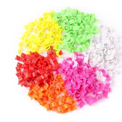 Pigeon Parrot Leg Rings Canary Clip Ring Bird Parrot Leg Rings Small Birds Foot Rings Inner diameter 2.7/ 3/4/4.5/5mm 100 Pcs