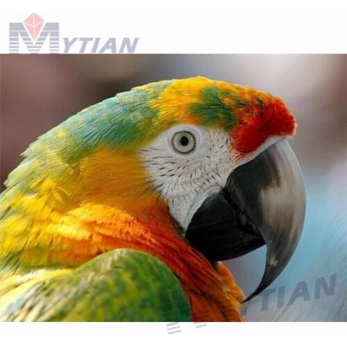 MYTIAN 5D DIY Full Drill Square &Round Diamond Painting Cross Stitch Set Macaw Rhinestone 3D Diamond Embroidery Needlework Decor