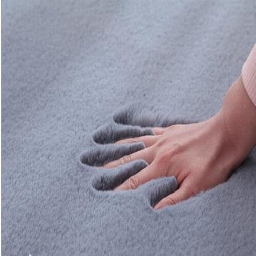 Modern Thickened Rabbit Hair Living Room Bedroom Bedside Non-slip Tatami Mat Bay Window Coffee Table Carpet Shop