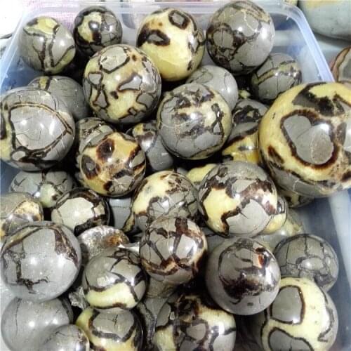 Wholesales Natural Dragon Stone Septarium Fossil Crystal Sphere Ball Healing Free shipping