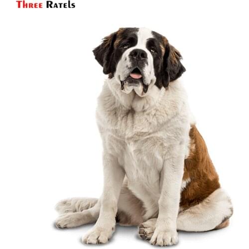 Three Ratels TRL537# 12x14.5cm Saint Bernard dog car funny stickers and decals