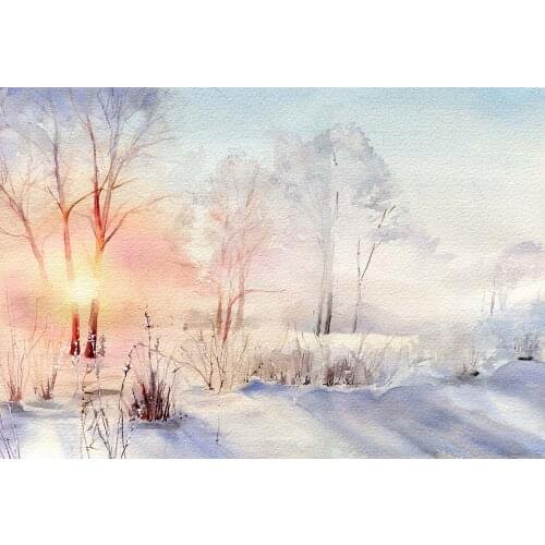 Photography Backdrop Christmas Snowy Winter Forest scenery Newborn Baby Child Photo Booth Background Studio Photocalls W-4472