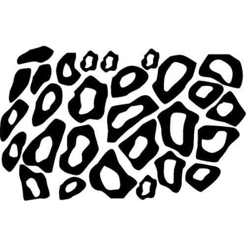 Dawasaru Minimalist Leopard Cheetah Animal Print Graphical for Car Sticker Vinyl Decal PVC,16cm*10cm