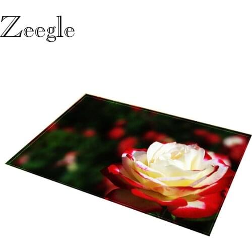 Zeegle Bedroom Carpet Floor Mat Doormat Anti-slip Bathroom Rug Outdoor Mat Hallway Carpet Absorbent Foot Mat Indoor Carpet