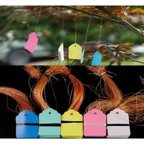 1bag 2.5*15cm Floral Label Gardening Label Plastic Hanging Tag White Yellow Pink Green Blue For Garden Planting
