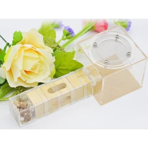 Imitation ecological ant nest acryl pet ant castle ant farm insect ant nests villa