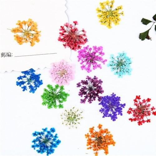 1-1.5CM Mini Lace Flower DIY Pressed Flowers For Nail Decoration 120 pcs