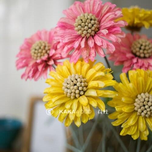 Nordic Dried Flower Handmade Fruit Shell Flower Pink Dried Flower Window Accessories Design Home Decorations Acacia Buckle