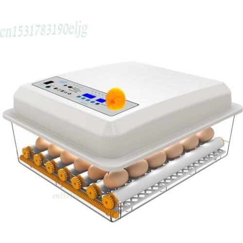 Automatic hatching machine consumer and commercial chicken duck goose incubator 16 small egg box temperature control